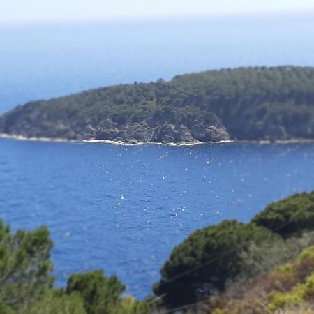 Residence La Calle Isola D'Elba Kültér fotó